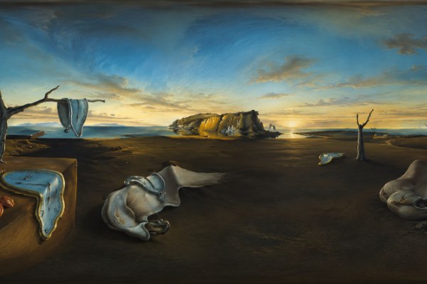 The Persistence of Memory